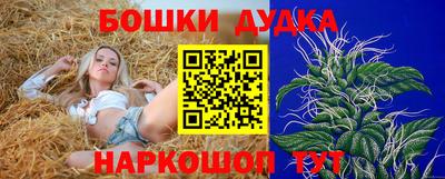 индика Старая Купавна
