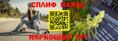 ешки Ставрополь