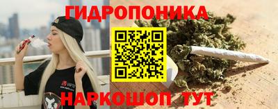 ешки Ставрополь