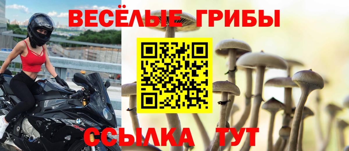 Галлюциногенные грибы ЛСД Октябрьский